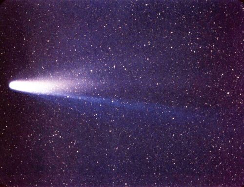 Comets and the Christmas Star