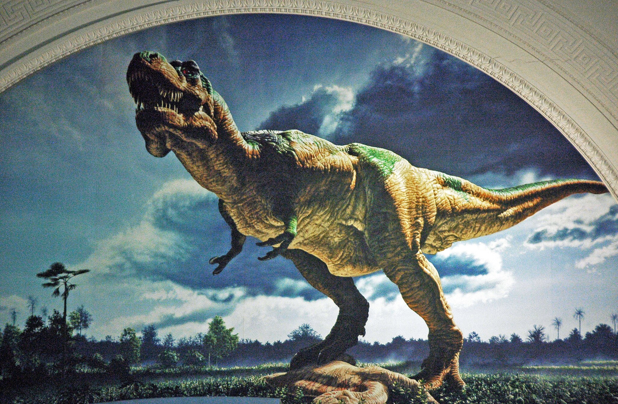 Sue (dinosaure) — Wikipédia